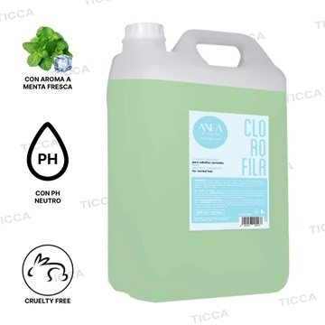 CHAMPU PH NEUTRO PARA TODO TIPO DE CABELLOS DE MENTA 5 LITROS | ANEA - Imagen 1