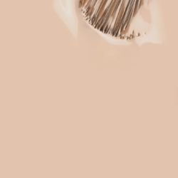 ESMALTE EFECTO GEL DE LARGA DURACION Nº225 NUDE ARENA LECHOSO 11ml | INOCOS - Imagen 2