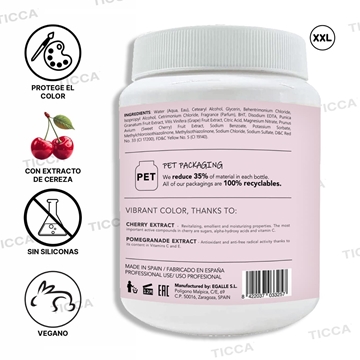 MASCARILLA DE MANTENIMIENTO DEL COLOR "COLOR PROTECTION" 1Kg | ANEA - Imagen 2