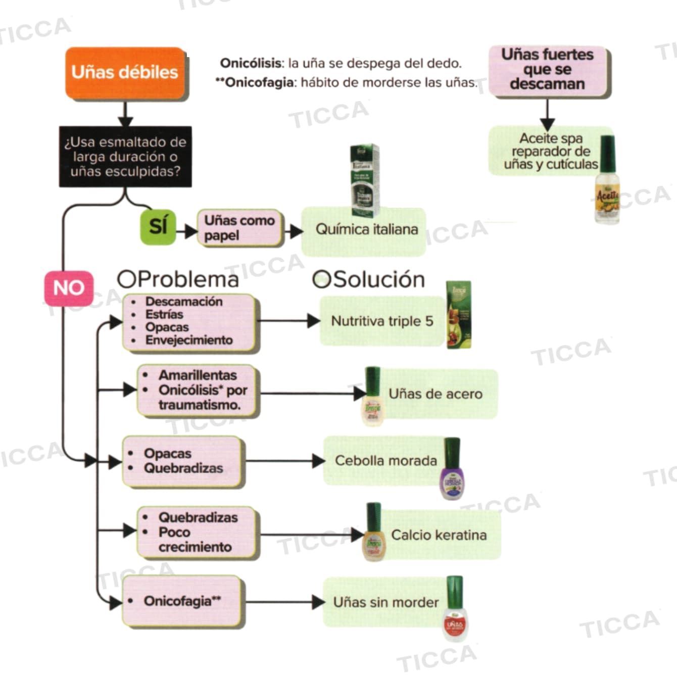 REPARADOR DE UÑAS QUEBRADIZAS "CALCIO Y KERATINA" 12,5ml | BRESCIA - Imagen 2