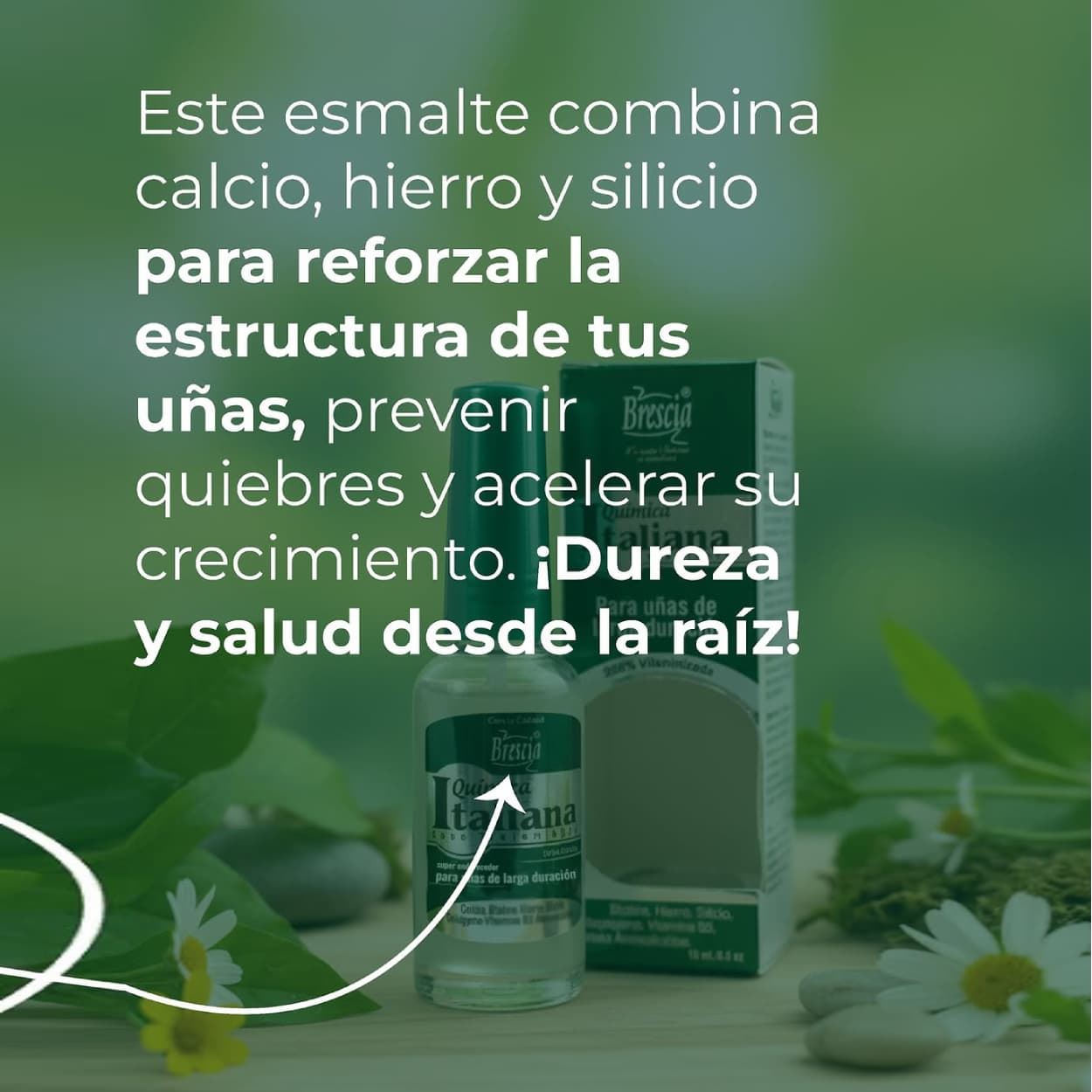 Super Endurecedor de Uñas Química Italiana 15 ml | BRESCIA - Imagen 5