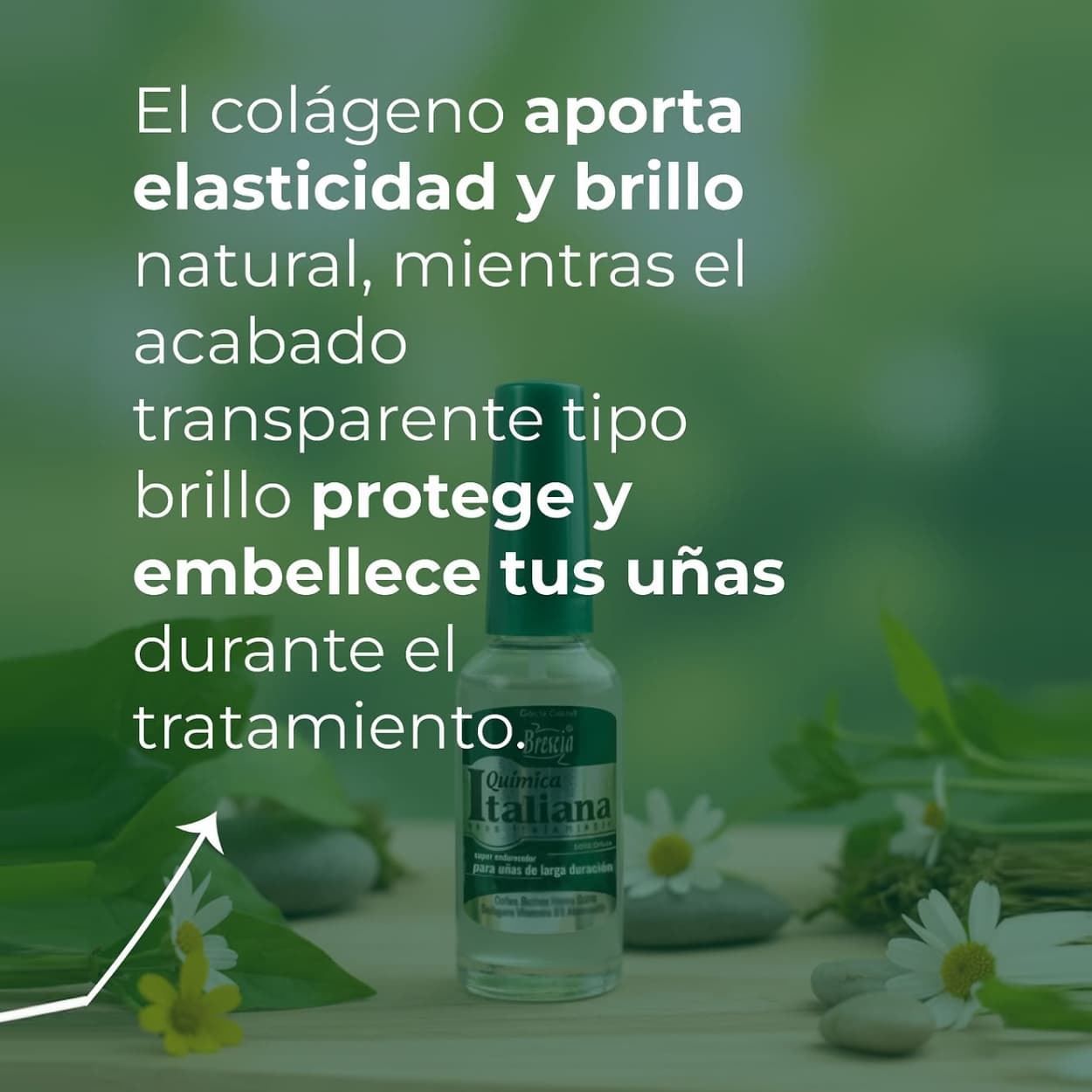 Super Endurecedor de Uñas Química Italiana 15 ml | BRESCIA - Imagen 6