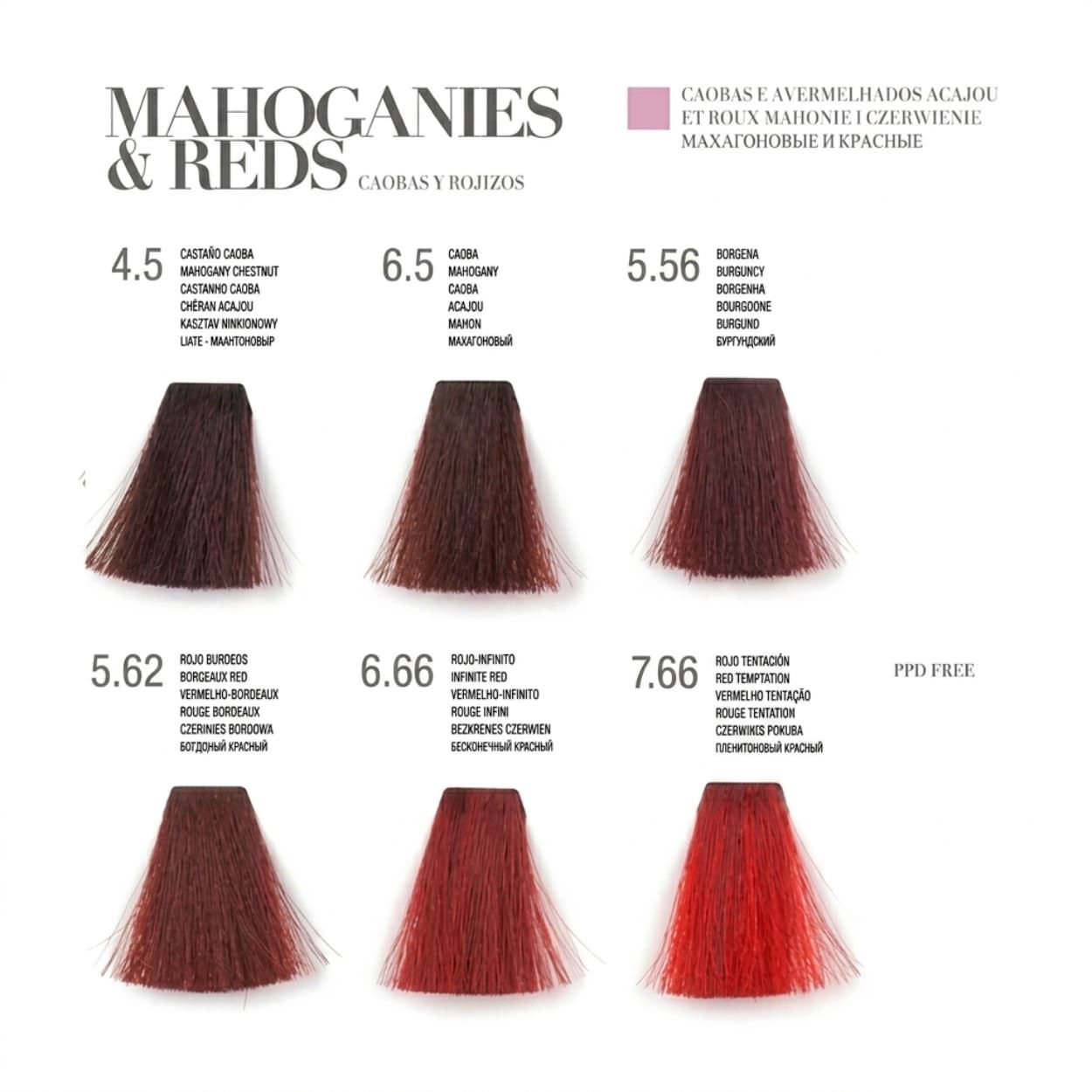 Tinte Permanente para el pelo con Argan "Color Sheen" 100ml : Caobas | Kosswell - Imagen 4